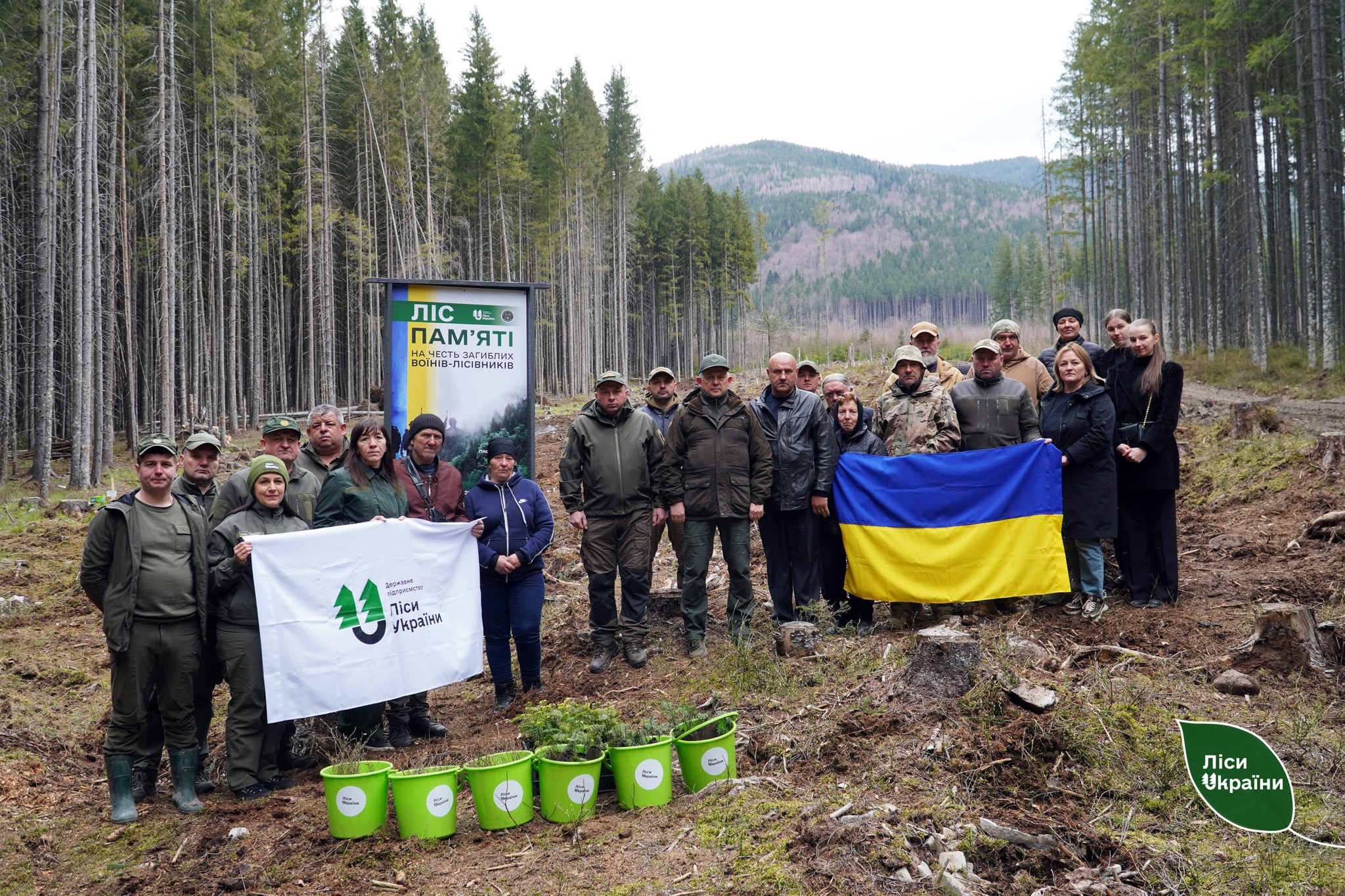 На Івано-Франківщині створили «Ліс пам'яті» на честь полеглих воїнів-лісівників (ФОТО)