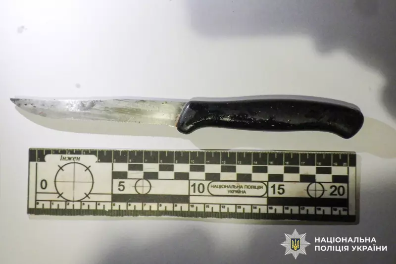 На Буковині двом хлопцям загрожує довічне за жорстоке вбивство жінки