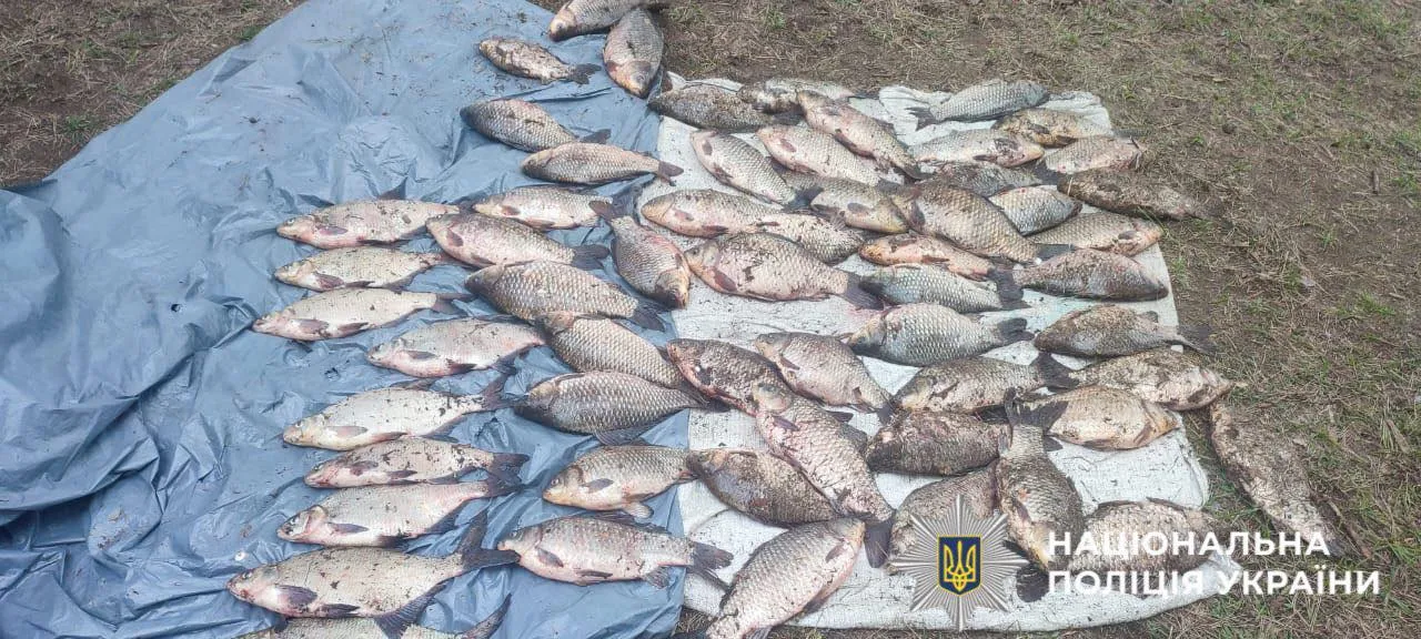 На Вишгородщині спіймали браконьєра, який наловив карасиків на 90 тисяч …