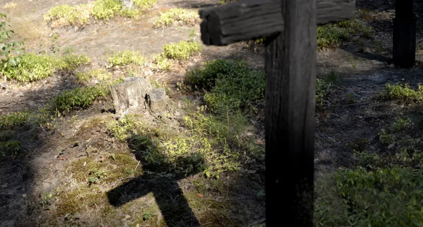 На Волині виявили нове поховання жертв подій 1943 року