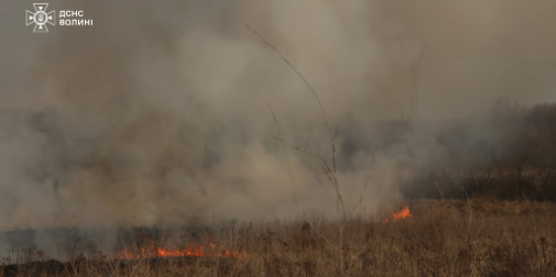 На Волині горіло 1,5 гектара сухостою: палійку затримали (фото)