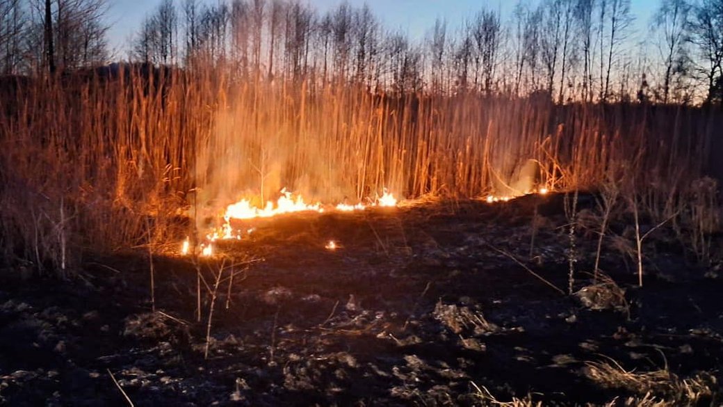 На Волині трапилося 4 пожежі на відкритих територіях — у …
