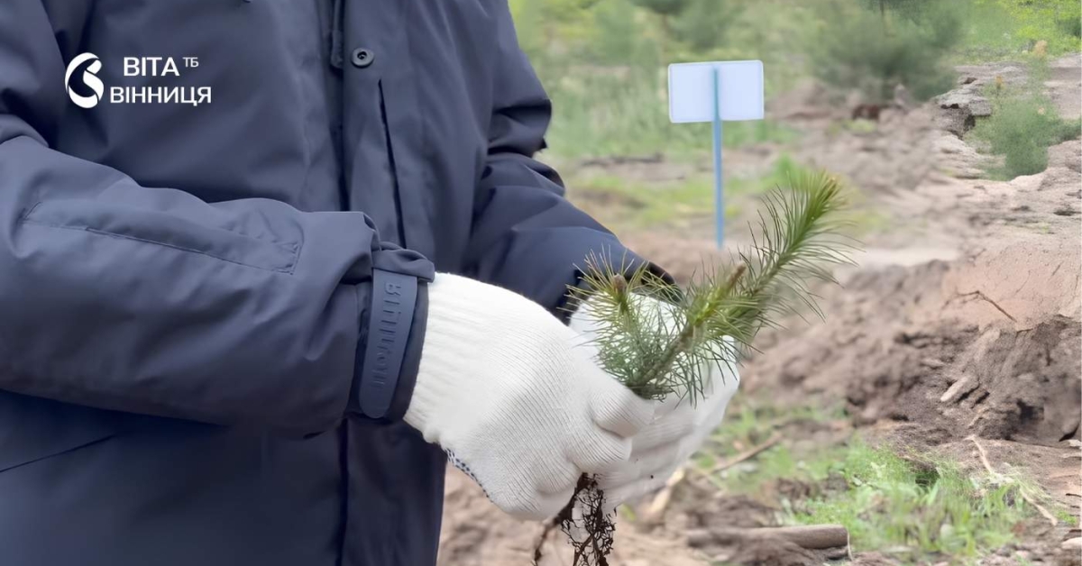На Вінниччині висадили понад 2,5 мільйони нових дерев за весняний …