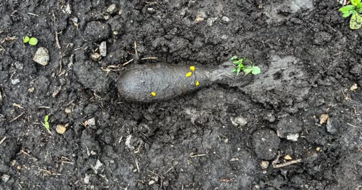 На Вінниччині в полі за містом знайшли мінометну міну