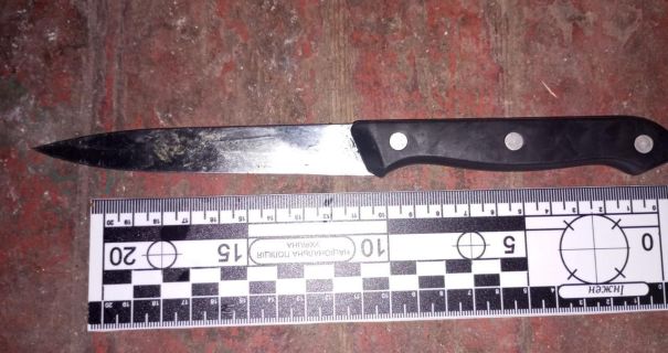 На Вінниччині п'яна жінка вдарила 17-річну доньку ножем у спину