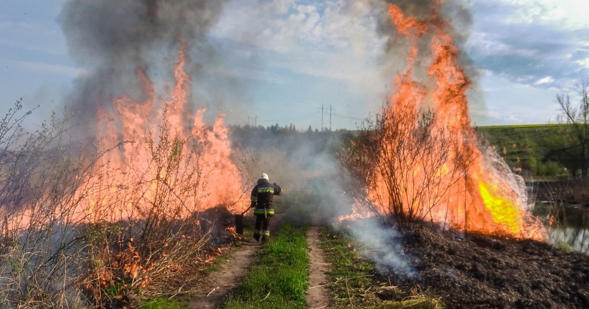 На Вінниччині сталося майже два десятки пожеж за добу