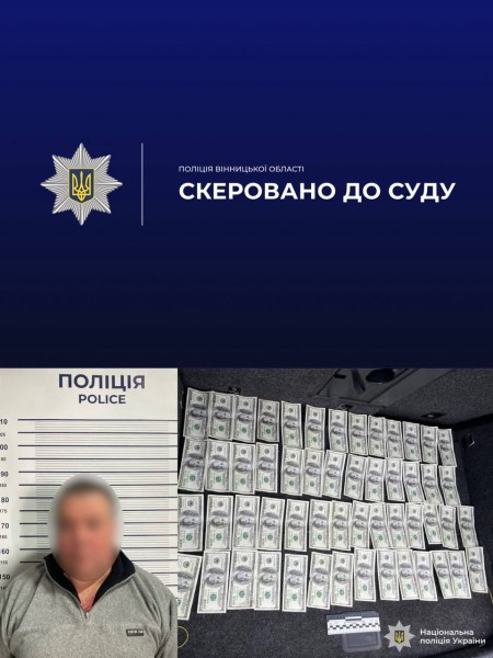 На Вінниччині судитимуть чоловіка, який організував незаконний трансфер через державний …