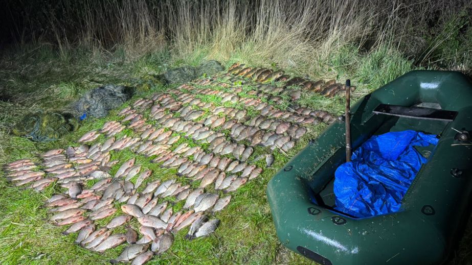 На Дніпропетровщині браконьєр сітками виловив 234 кілограми риби на понад …