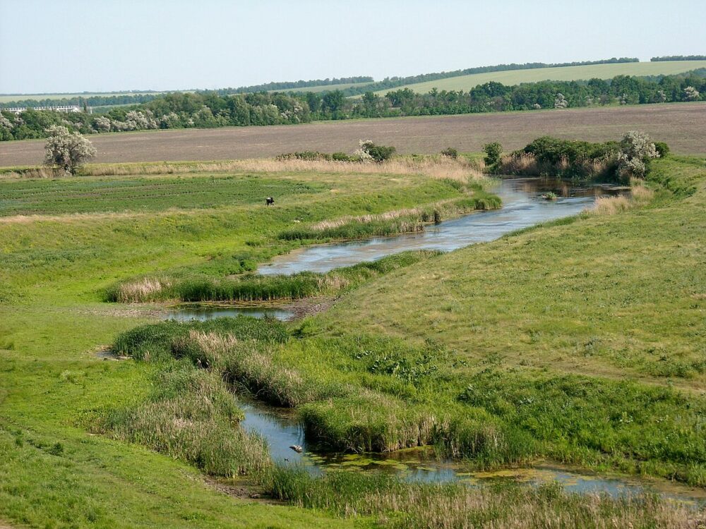 На Дніпропетровщині відбувається екологічна катастрофа на річці Мокра Сура: влада …