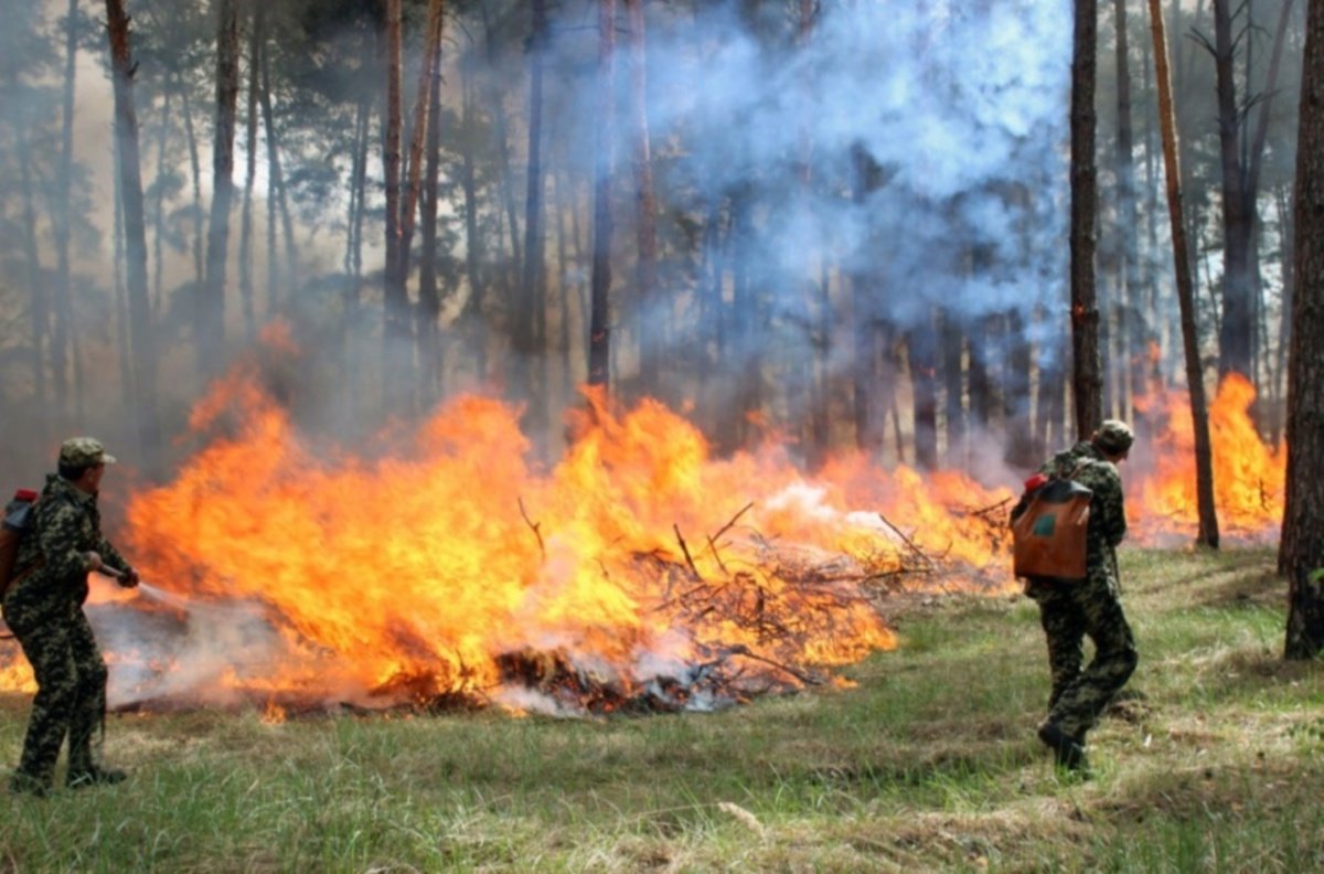 На Дніпропетровщині оголосили найвищий рівень пожежної небезпеки
