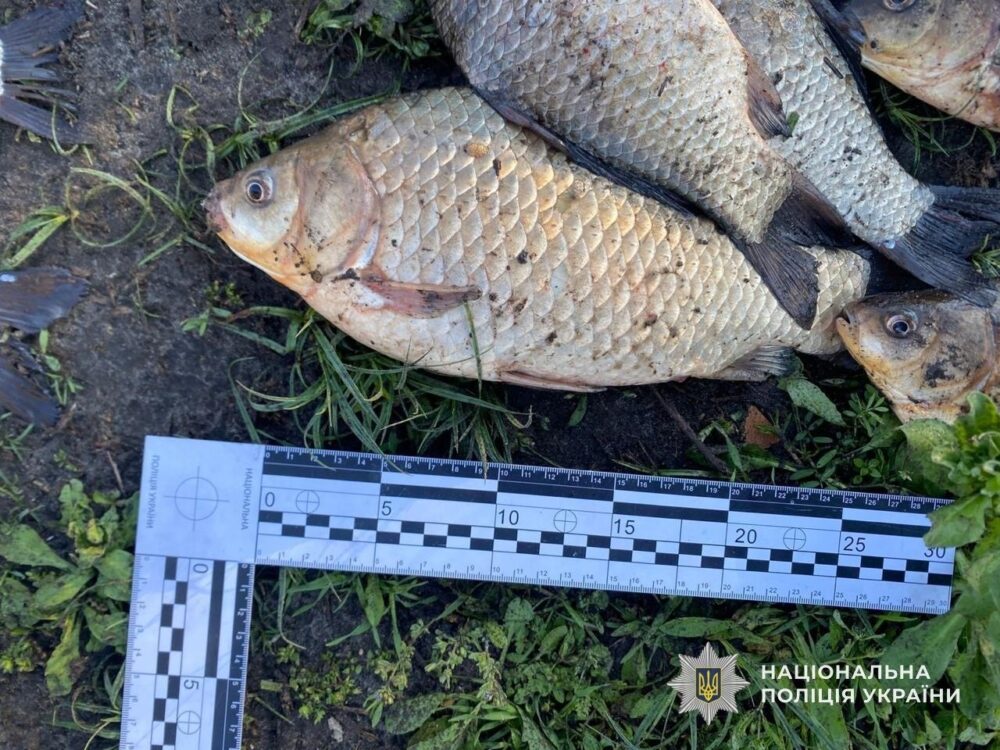 На Дніпропетровщині спіймали браконьєра з жилковими сітками