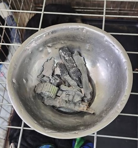 На Дніпропетровщині уламки ворожого заліза понівечили притулок для покинутих собак …