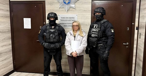 На Житомирщині матір підозрюють у створенні порнографії зі своєю сплячою …