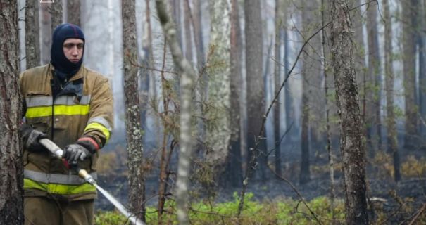 На Житомирщині продовжує горіти заповідник