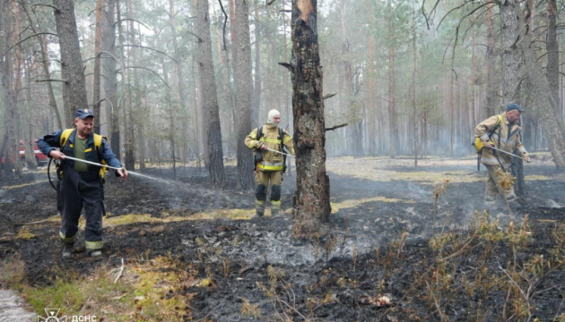 На Житомирщині триває ліквідація лісової пожежі у Поліському заповіднику