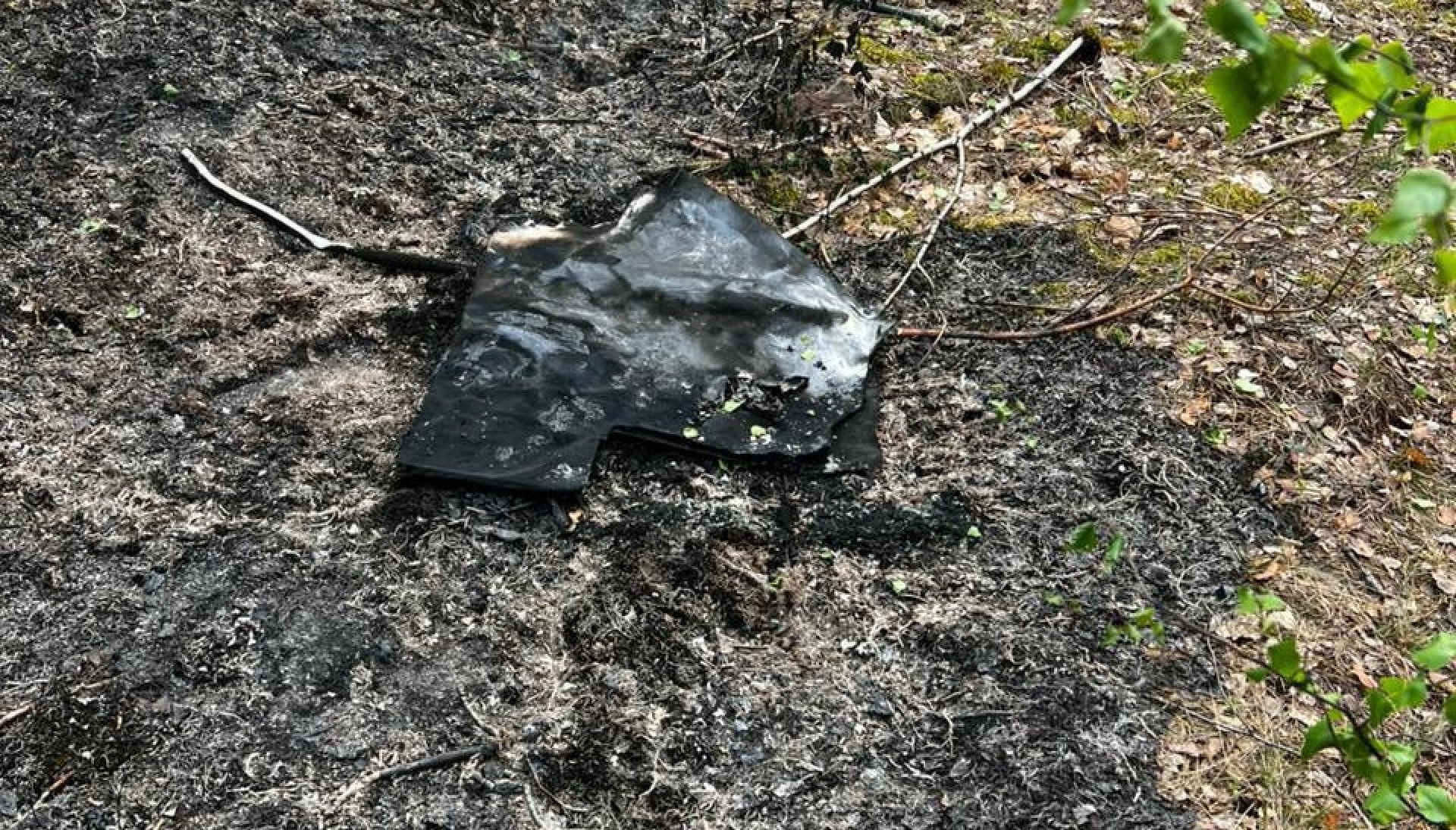 На Житомирщині уламки «шахеда» спричинили лісову пожежу