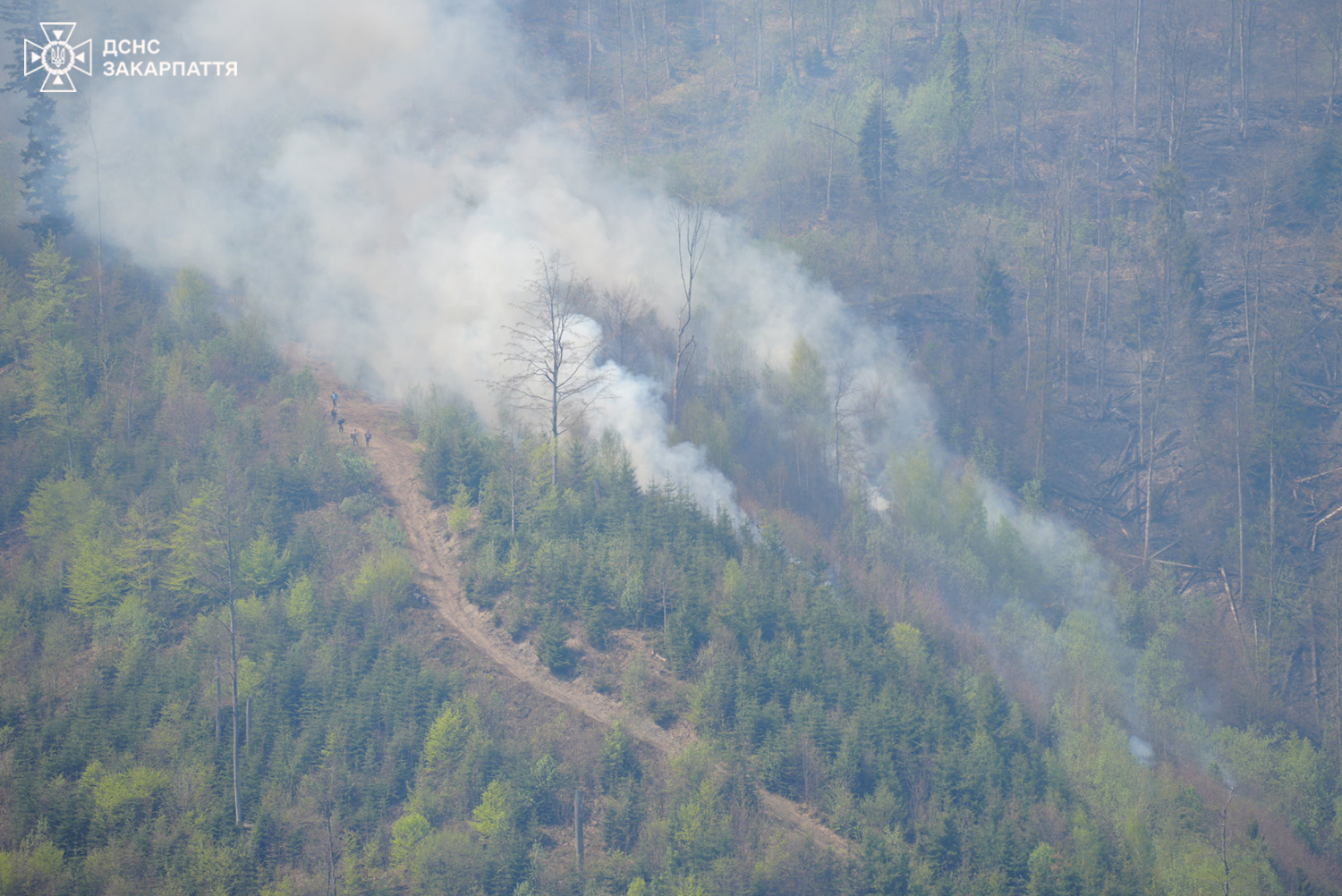 На Закарпатті вже другий день триває ліквідація великої лісової пожежі