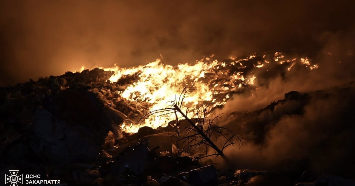 На Закарпатті зафіксували майже тисячу пожеж сухостою від початку року