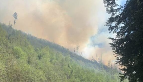 На Закарпатті поблизу Воловця горять 75 гектарів лісу