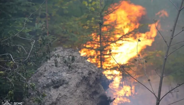 На Закарпатті поблизу Воловця горять 75 гектарів лісу, вогонь гасять …