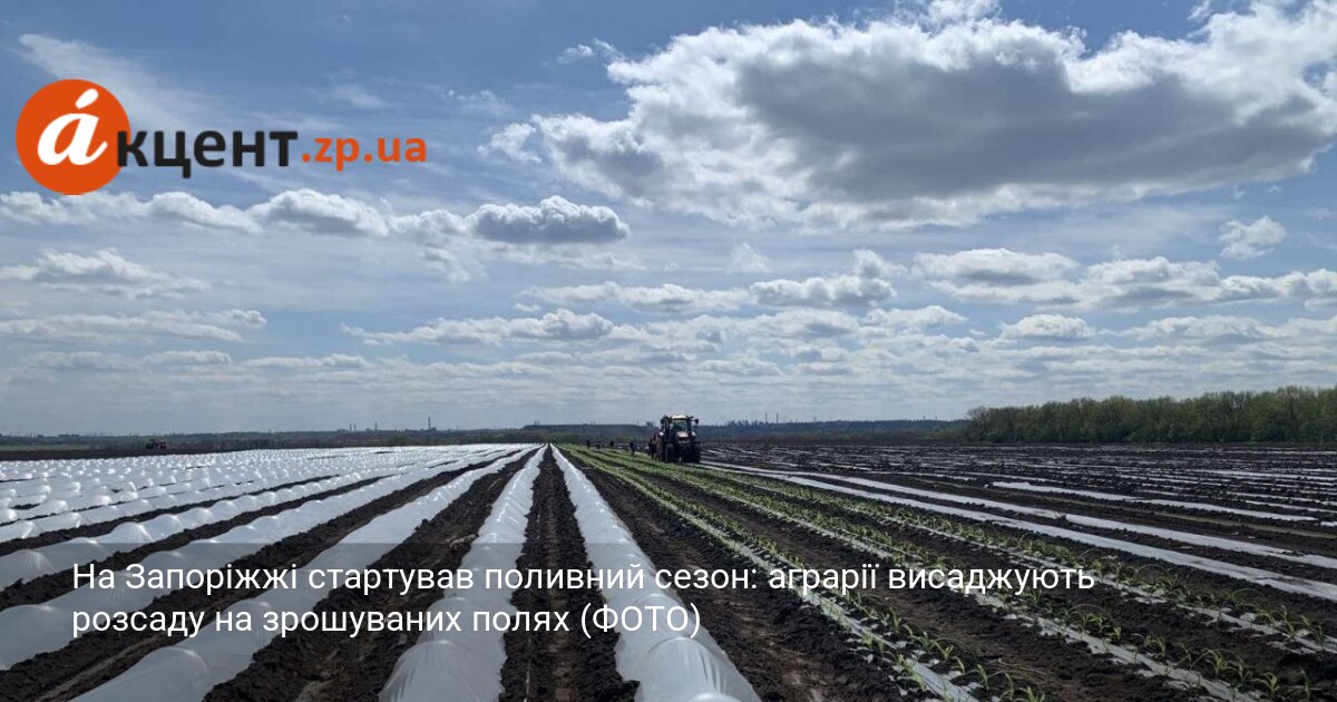 На Запоріжжі стартував поливний сезон: аграрії висаджують розсаду на зрошуваних …