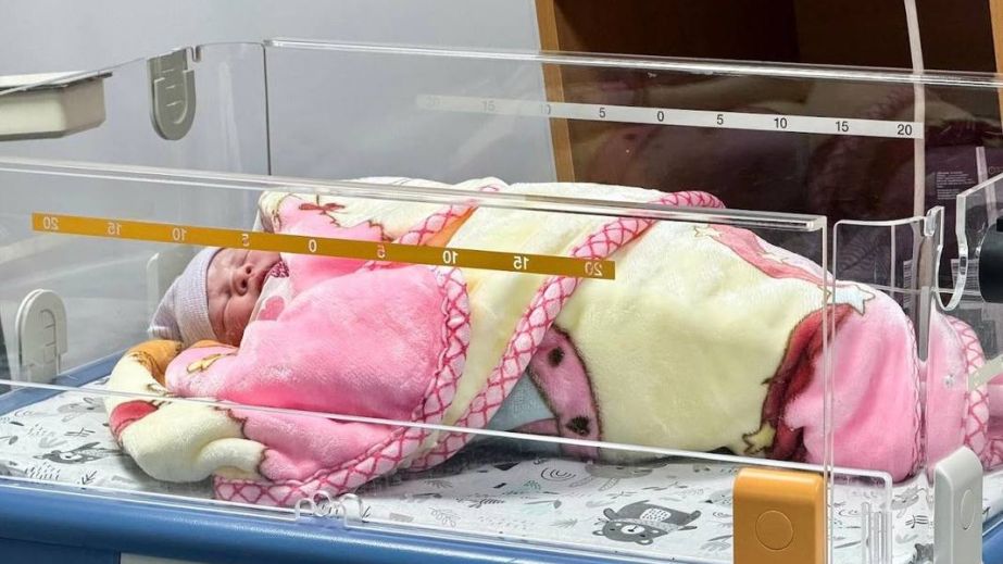Чотири двійні народилися на Запоріжжі від початку року