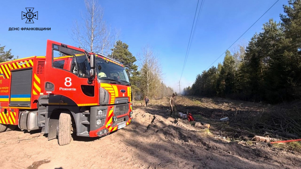 На Калущині рятувальники всю ніч гасили пожежу в лісі