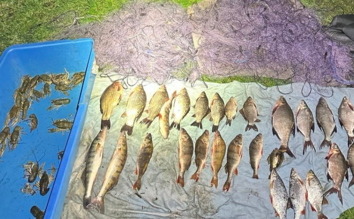 На Київщині браконьєр незаконно виловив рибу та раків на суму …