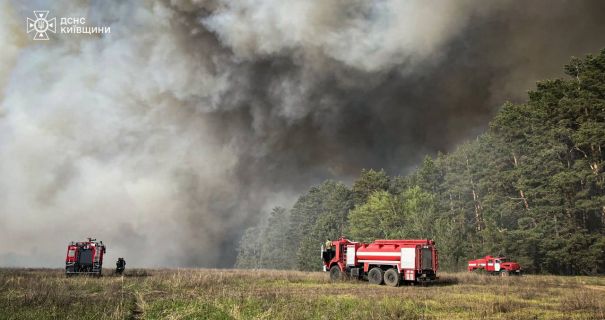 На Київщині горить 100 га лісу та полів у Бучанському …