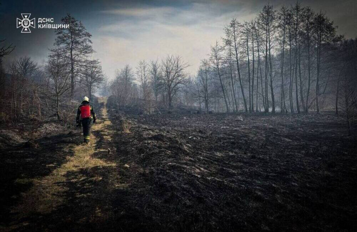На Київщині зафіксували більше трьох тисяч пожеж з початку року …