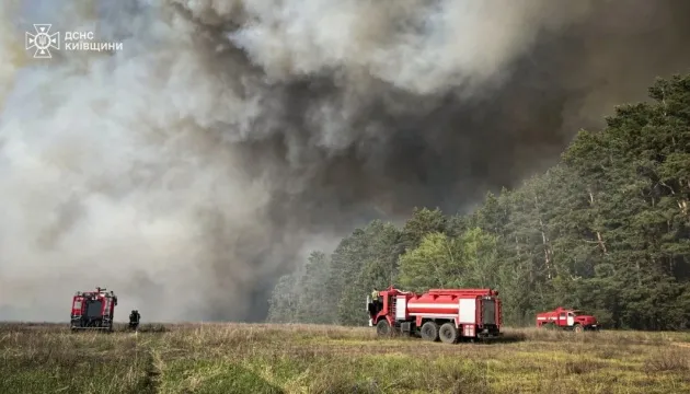 На Київщині зупинили масштабну лісову пожежу