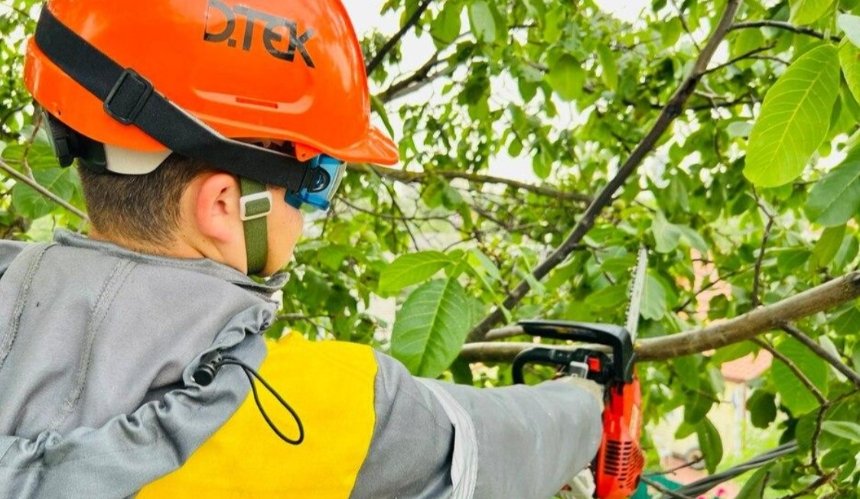 На Київщині розчистили 1,5 тисячі кілометрів ліній електропередачі: причина