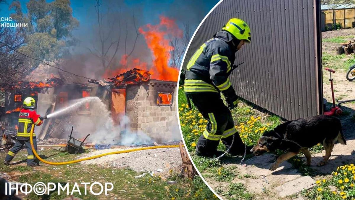 На Київщині рятувальники вивели собаку з пожежі: бідолашна була припнутою …