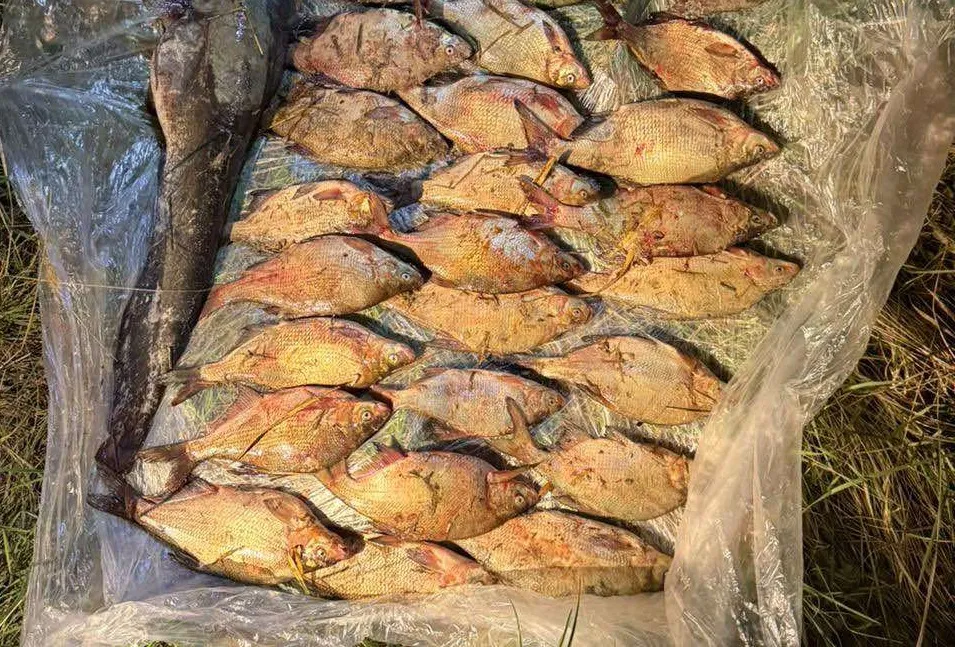 На Кременчуцькому водосховищі виявили рибних браконьєрів