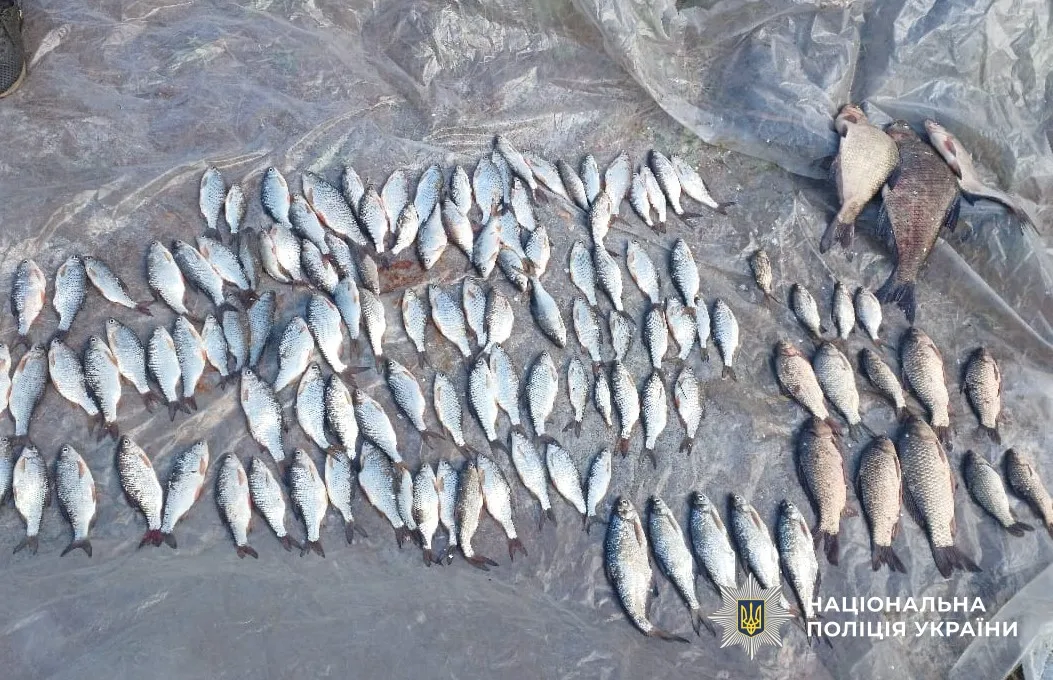 На Кременчуцькому водосховищі чоловік незаконно наловив риби на понад 200 …