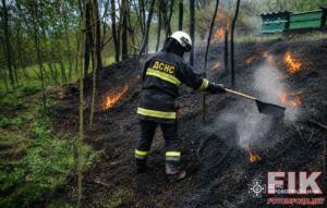 На Кіровоградщині в екосистемах ліквідували три пожежі