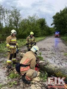 На Кіровоградщині ліквідовують наслідки шквального вітру та зливи