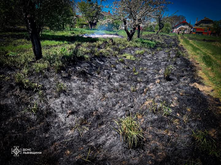 На Львівщині жінка отримала опіки через підпал трави