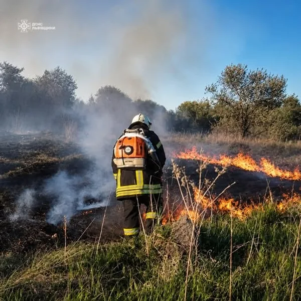 На Львівщині ліквідовано 8 пожеж на площі понад 3 гектари