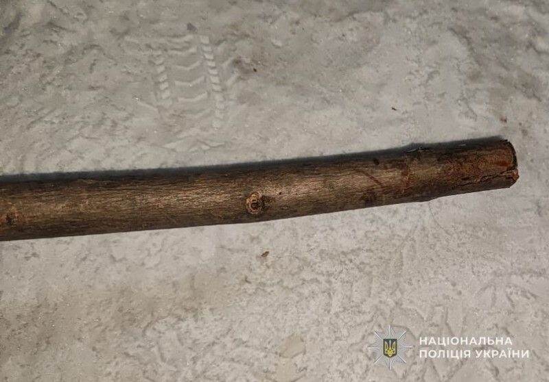 На Львівщині судитимуть чоловіка за жорстоке побиття собаки