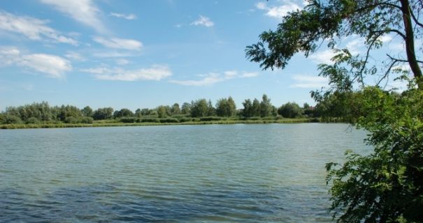 На Львівщині у водоймі виявили тіло чоловіка