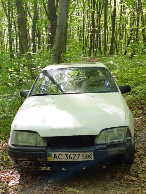На Львівщині у лісі знайшли автомобіль на волинських номерах