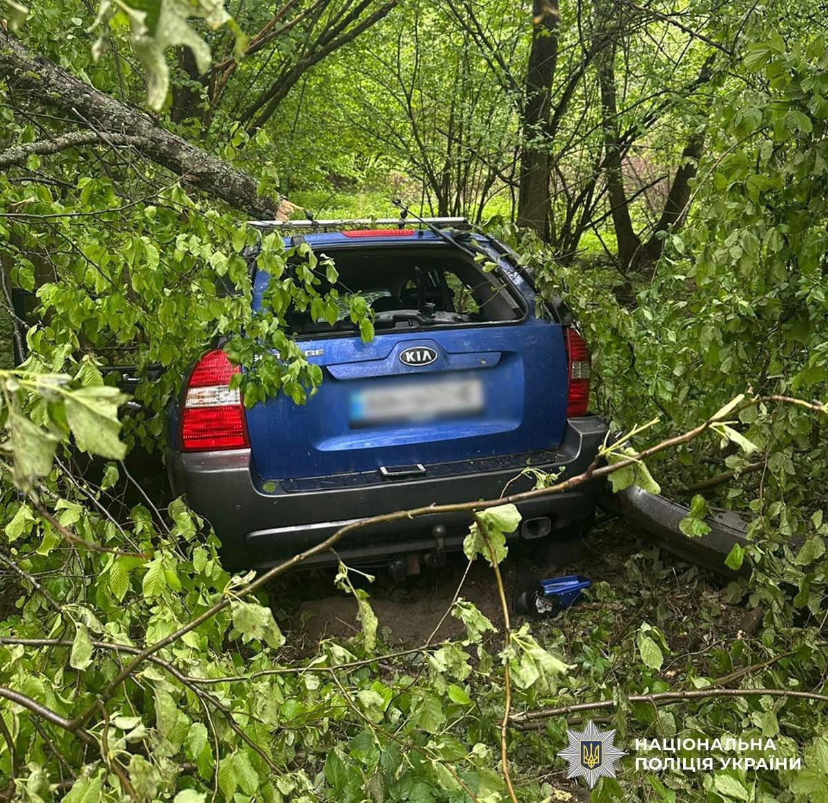 На Малинщині внаслідок ДТП загинули двоє чоловіків: поліція встановлює обставини
