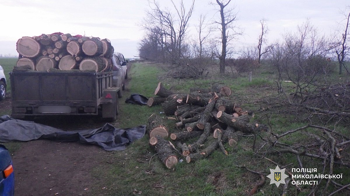 На Миколаївщині двом чоловікам загрожує до 7 років в'язниці за …