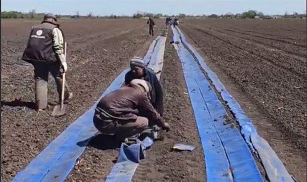 На Миколаївщині за американські гроші монтують системи крапельного поливу