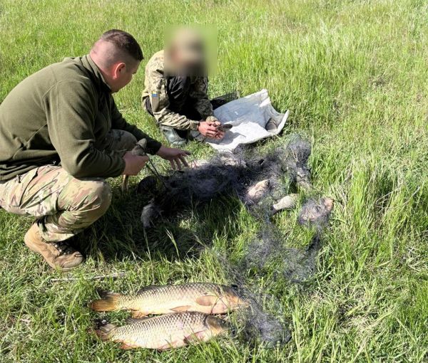 На Миколаївщині кілька рибин із Південного Бугу обійдуться браконьєру дорожче …
