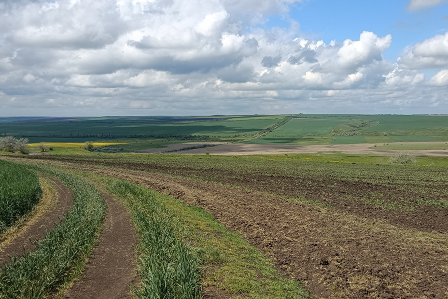 На Миколаївщині незаконно розорали 6 гектарів заказників