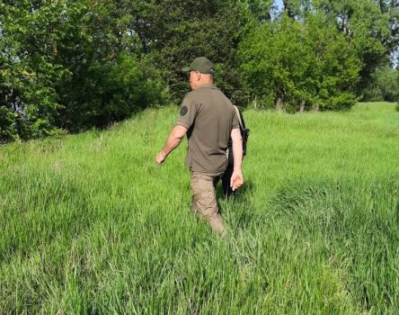 На Миколаївщині самовільно засіяли охоронну зону річки