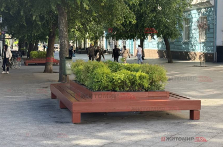 На Михайлівській у Житомирі знову встановили дерев'яні лави з декоративними …