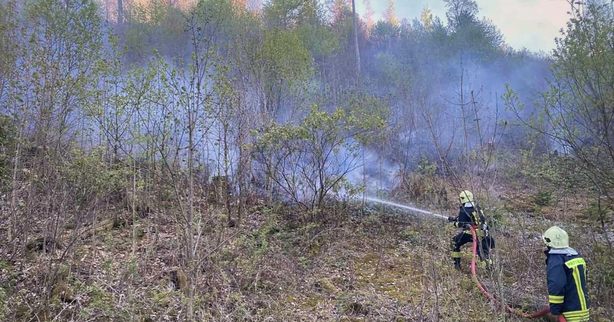 На Мукачівщині пожежа охопила вже 75 гектарів лісу (ФОТО)